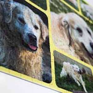 Fotocollage-Puzzle 500 Teile - €  19.99