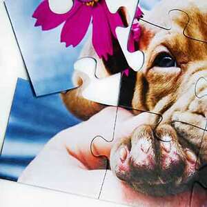 Fotopuzzle 12 XXL-Teile - €  15.57
